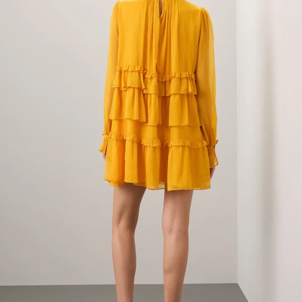 Adam Lippes x RTR Tiered ruffle dress size: 6 - Picture 3 of 11